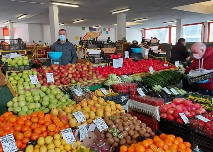 Center - Free Parking - Walk To Main Street Apartment Plovdiv